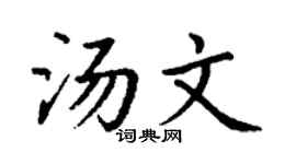 丁谦汤文楷书个性签名怎么写