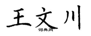 丁谦王文川楷书个性签名怎么写