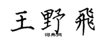 何伯昌王野飞楷书个性签名怎么写