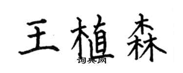 何伯昌王植森楷书个性签名怎么写