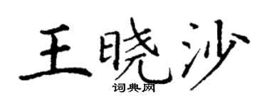 丁谦王晓沙楷书个性签名怎么写