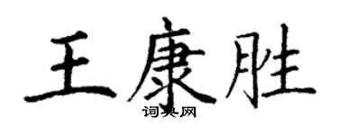 丁谦王康胜楷书个性签名怎么写