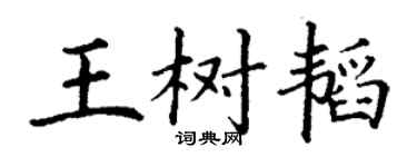 丁谦王树韬楷书个性签名怎么写