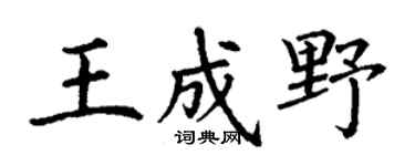 丁谦王成野楷书个性签名怎么写