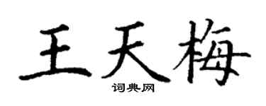 丁谦王天梅楷书个性签名怎么写