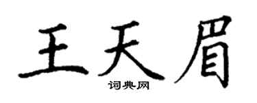 丁谦王天眉楷书个性签名怎么写