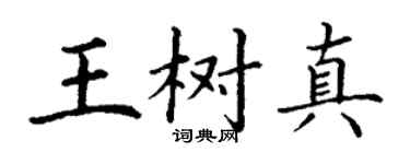 丁谦王树真楷书个性签名怎么写