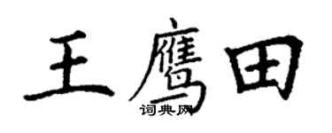 丁谦王鹰田楷书个性签名怎么写