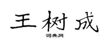 袁强王树成楷书个性签名怎么写