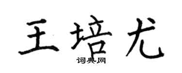 何伯昌王培尤楷书个性签名怎么写