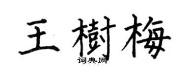 何伯昌王树梅楷书个性签名怎么写