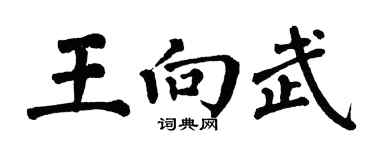 翁闿运王向武楷书个性签名怎么写