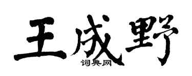 翁闿运王成野楷书个性签名怎么写