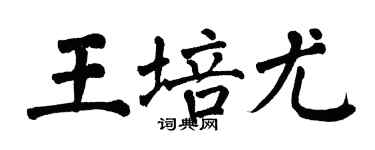 翁闿运王培尤楷书个性签名怎么写