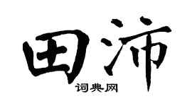 翁闿运田沛楷书个性签名怎么写