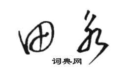 骆恒光田永草书个性签名怎么写