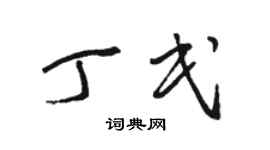 骆恒光丁民草书个性签名怎么写