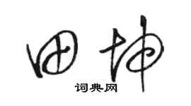 骆恒光田坤草书个性签名怎么写