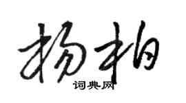 骆恒光杨柏草书个性签名怎么写