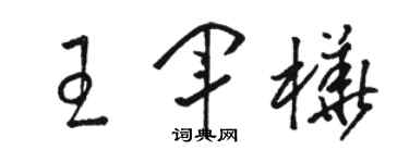 骆恒光王军桦草书个性签名怎么写