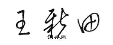 骆恒光王新田草书个性签名怎么写