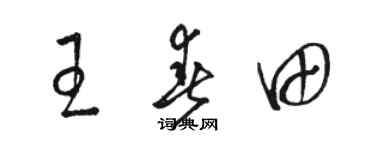 骆恒光王春田草书个性签名怎么写