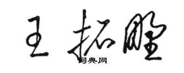 骆恒光王拓野草书个性签名怎么写