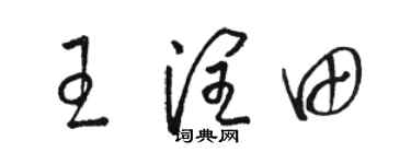 骆恒光王润田草书个性签名怎么写