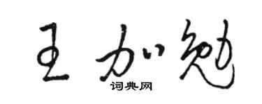 骆恒光王加勉草书个性签名怎么写