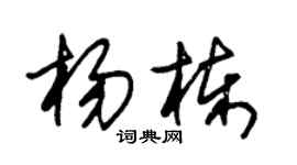 朱锡荣杨栋草书个性签名怎么写