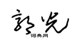 朱锡荣郭光草书个性签名怎么写