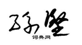 朱锡荣孙坚草书个性签名怎么写