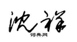 朱锡荣沈祥草书个性签名怎么写