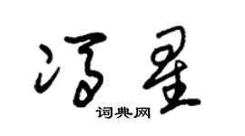 朱锡荣冯星草书个性签名怎么写