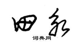 朱锡荣田永草书个性签名怎么写