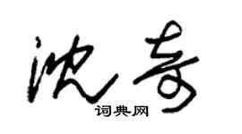 朱锡荣沈奇草书个性签名怎么写