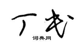 朱锡荣丁民草书个性签名怎么写