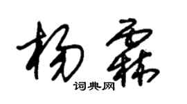 朱锡荣杨霖草书个性签名怎么写