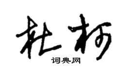 朱锡荣杜柯草书个性签名怎么写