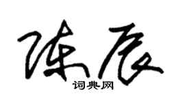 朱锡荣陈辰草书个性签名怎么写