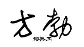 朱锡荣方勃草书个性签名怎么写