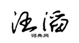 朱锡荣汪滔草书个性签名怎么写