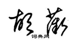 朱锡荣胡薇草书个性签名怎么写