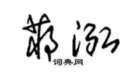 朱锡荣蒋泓草书个性签名怎么写