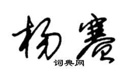 朱锡荣杨赛草书个性签名怎么写