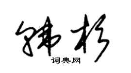 朱锡荣韩杉草书个性签名怎么写