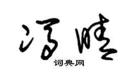 朱锡荣冯晴草书个性签名怎么写