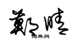 朱锡荣郑晴草书个性签名怎么写