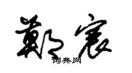 朱锡荣郑宸草书个性签名怎么写