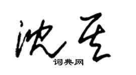 朱锡荣沈其草书个性签名怎么写